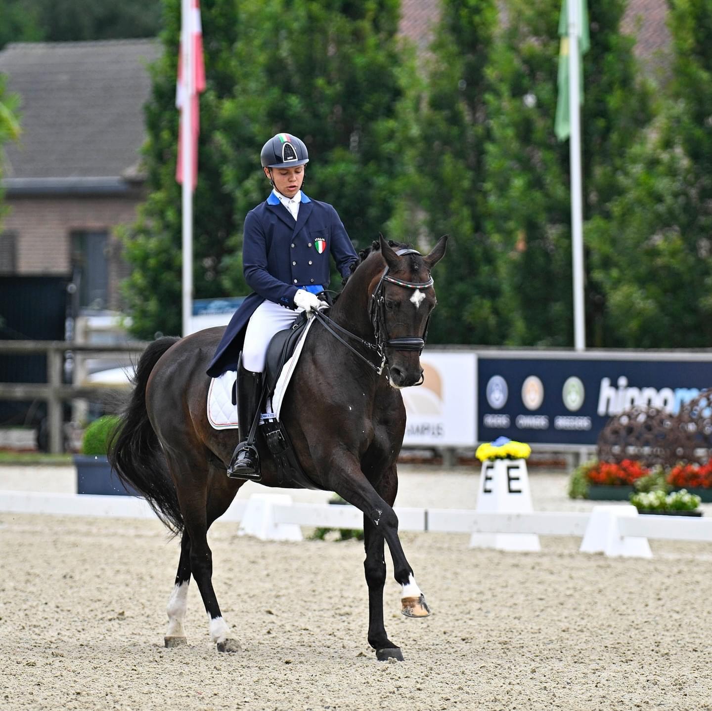 Edoardo Zara, l’azzurro del dressage 3 Edoardo Zara 1