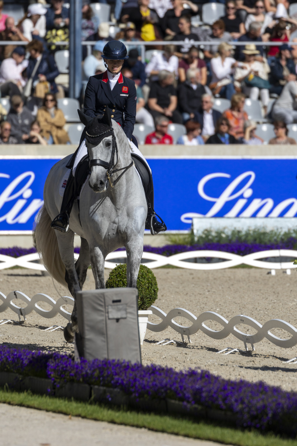 Dressage all to be understood 5 FRY Charlotte ESPECIAL Aachen 20240707 SS350298