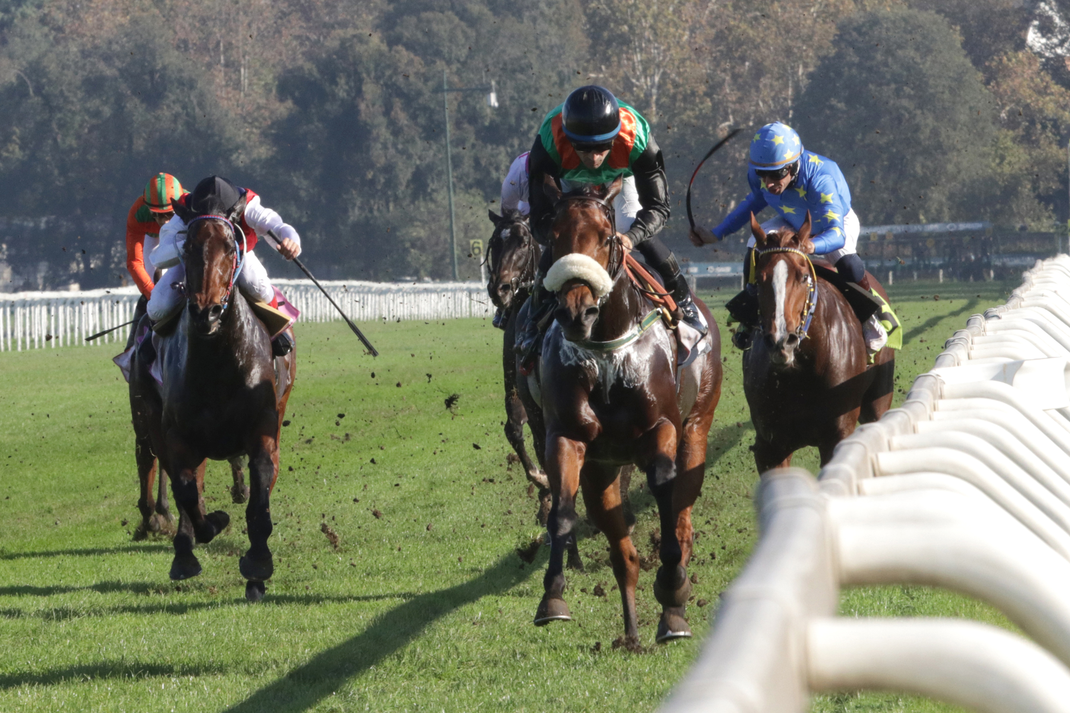 Il mercolerdì di galoppo all’Ippodromo Snai San Siro di Milano nel segno degli handicap con il premio Horeion Directa 1 Ippodromo Snai San Siro