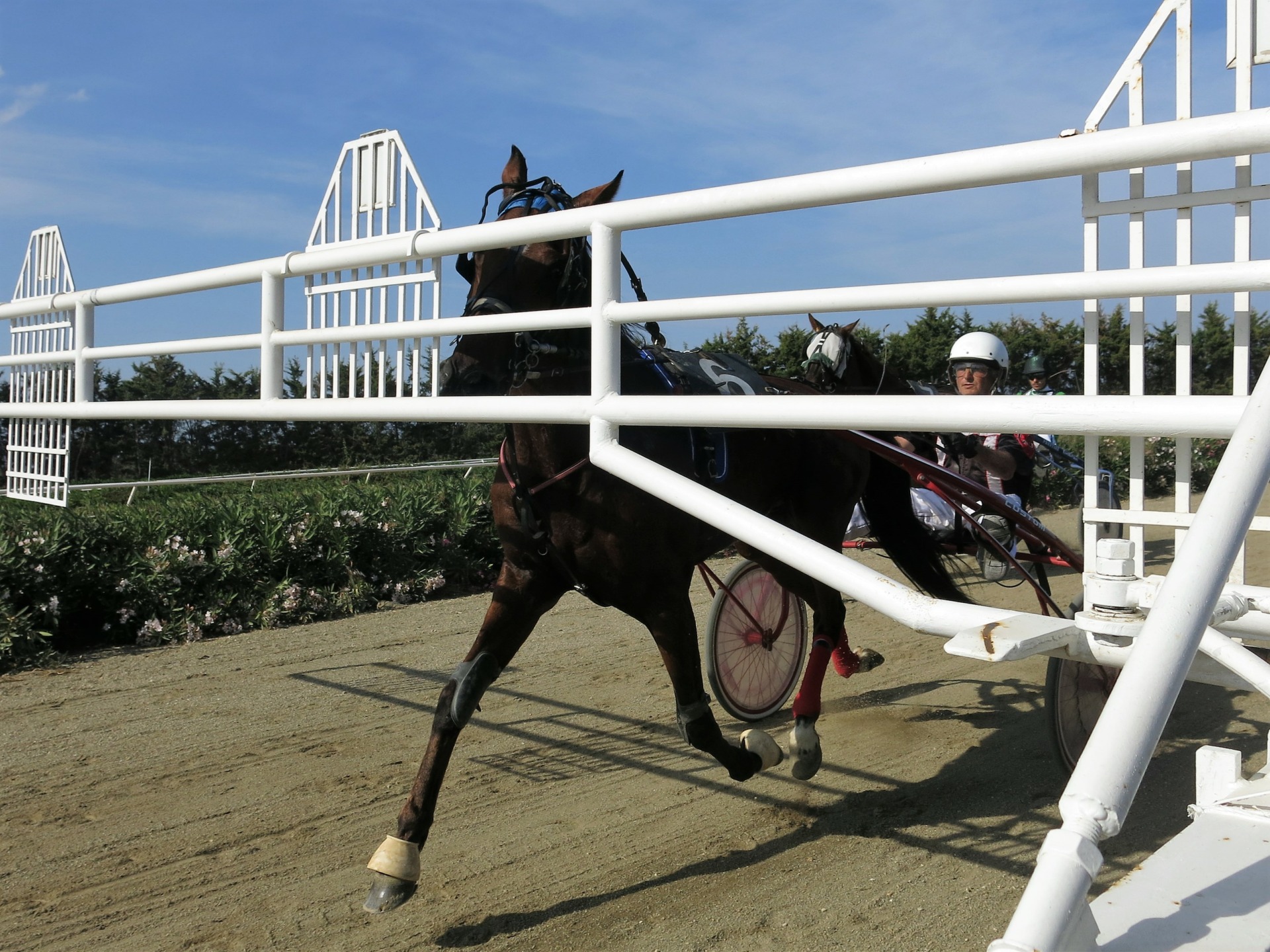 Ippodromo del Mediterraneo di Siracusa, Trotto: Brunilde rispetta le attese. 1 Ippodromo del Mediterraneo