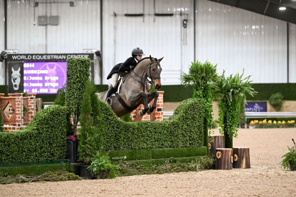 World Equestrian Center: trionfo per Richard Rinehart e The Diamant Rose Z 4 Jenna Drago
