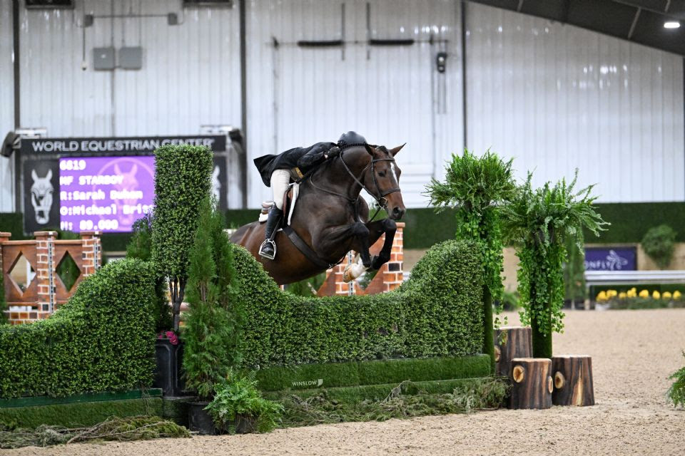 World Equestrian Center: trionfo per Richard Rinehart e The Diamant Rose Z 3 Sarah Duhon