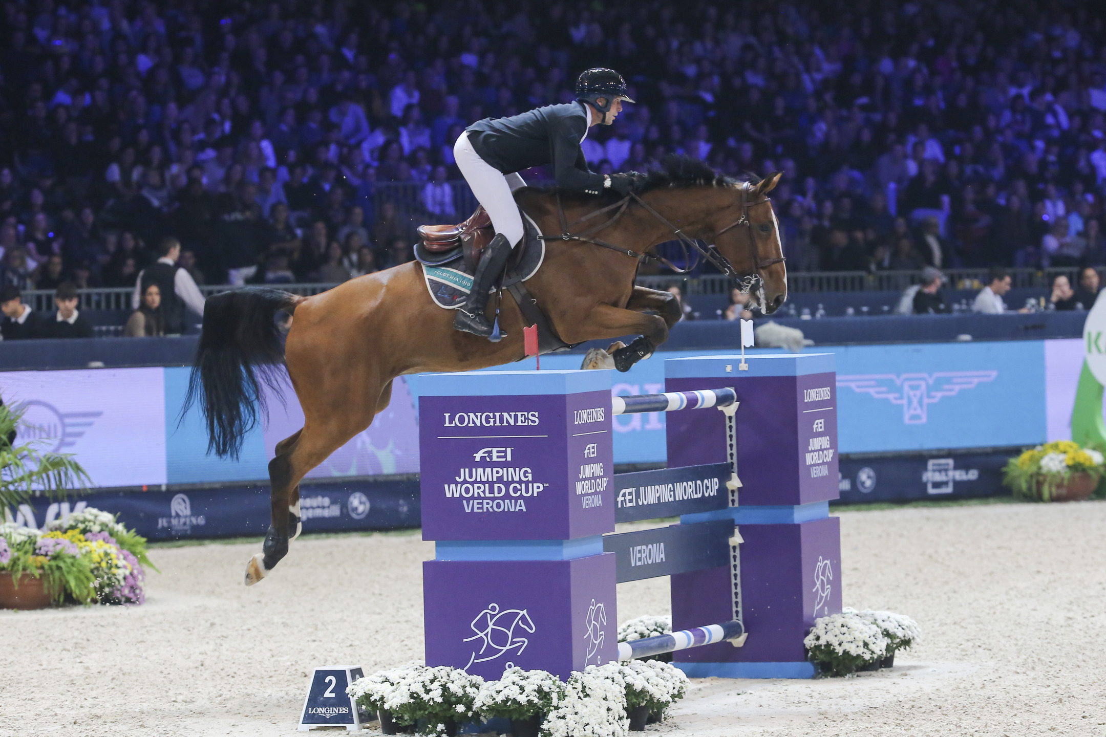 Kevin Staut: The Journey of a Champion 1 Kevin Staut su Beau de Laubry Z