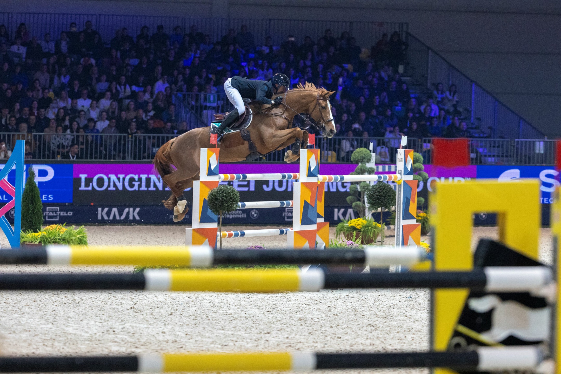 Kevin Staut: The Journey of a Champion 7 Staut Kevin (FRA) riding Vida Loca Z_Verona_2024