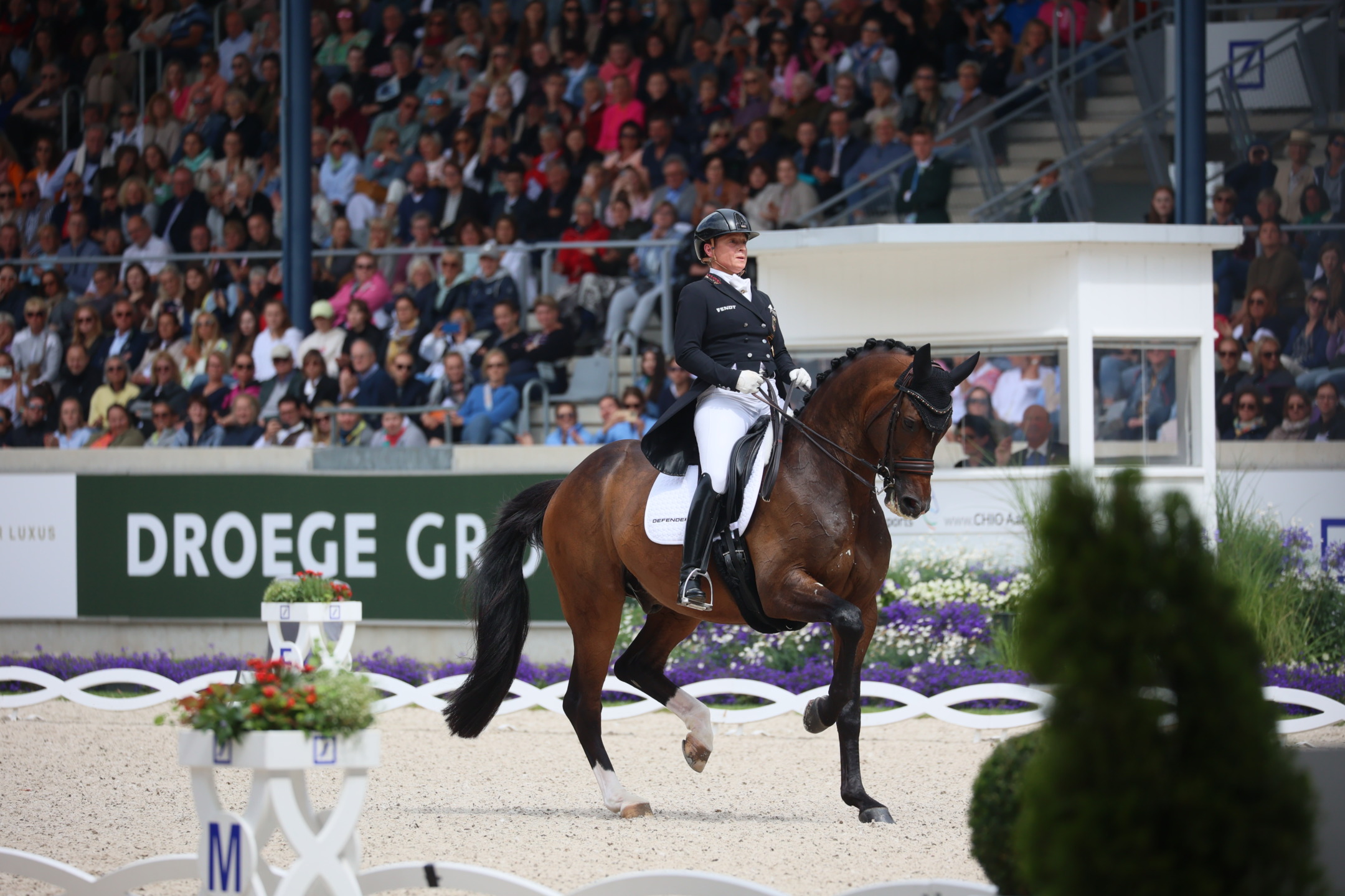 Dressage all to be understood 6 WERTH Quantaz Aachen2023 20230702 SS3 7325A