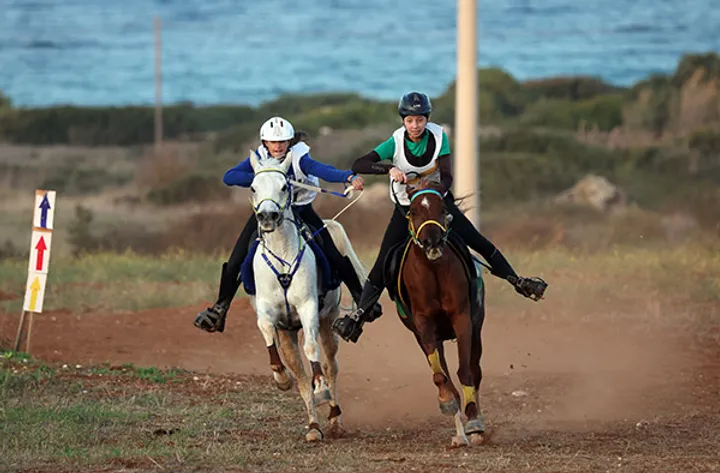 Puglia Endurance Experience 2024: molto più di una semplice competizione. 4 endurance 1 1