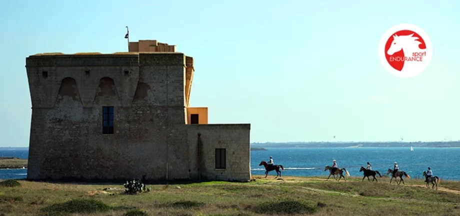 Puglia Endurance Experience 2024: molto più di una semplice competizione. 2 endurance 2