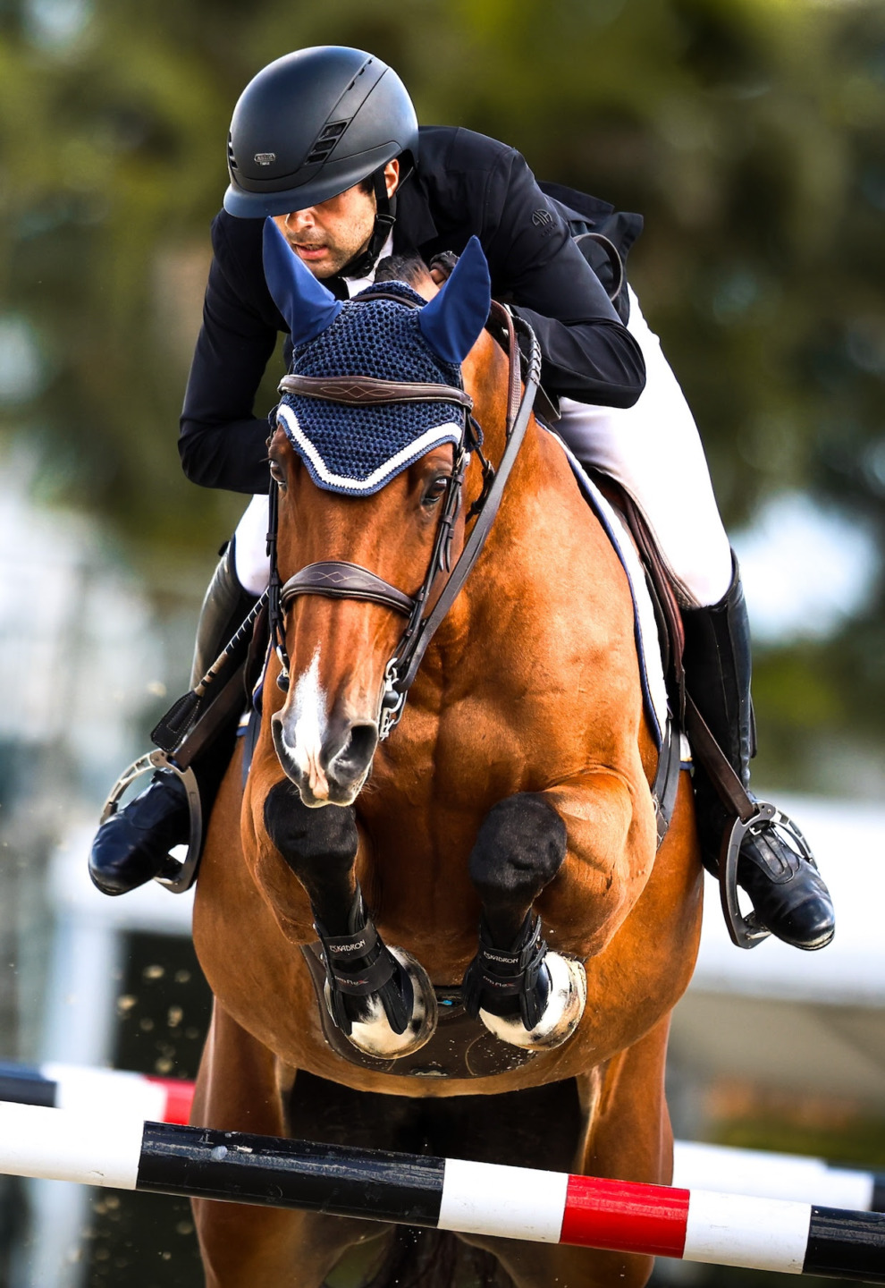 Jad Dana apre il concorso CSI3* dell'Internazionale di Wellington nel Power & Speed IDA Development. 1 Jad Dana apre il concorso CSI3* dell'Internazionale di Wellington nel Power & Speed IDA Development