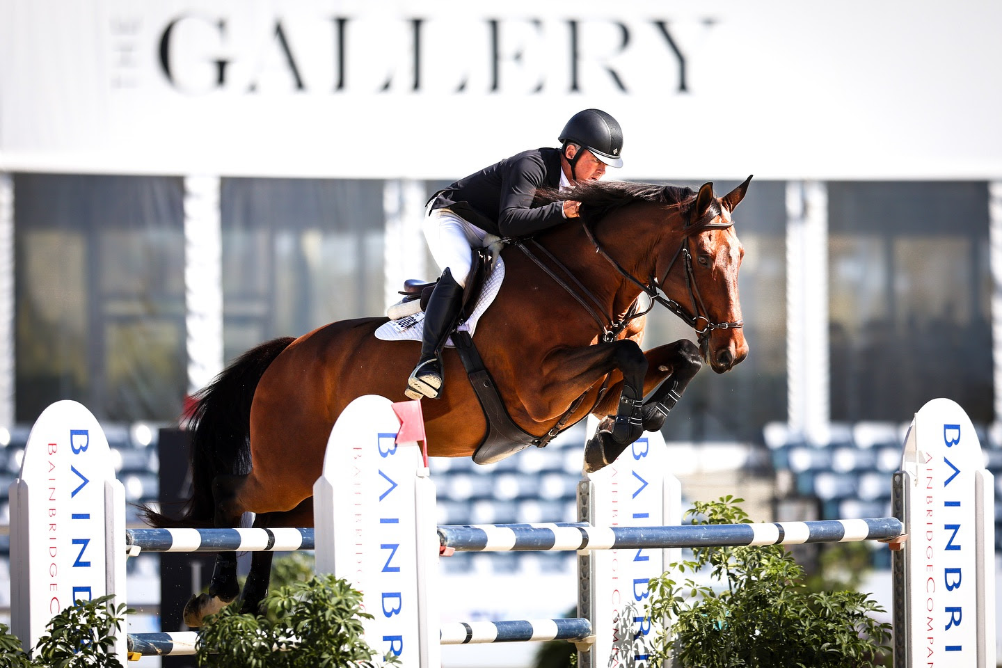 Will Simpson fa doppietta nel Palm Beach Equine Clinic CSI3* Speed al Wellington International. 1 Will Simpson fa doppietta nel Palm Beach Equine Clinic CSI3* Speed al Wellington International