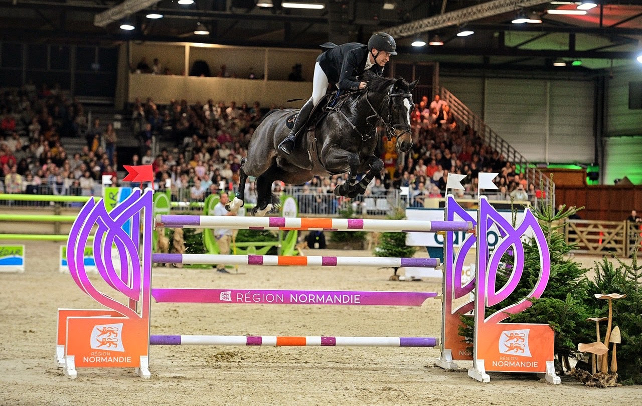 Equi Seine 2024, un finale spettacolare per la Normandia! 1 EQUI SEINE 2024, un finale spettacolare per la Normandia!