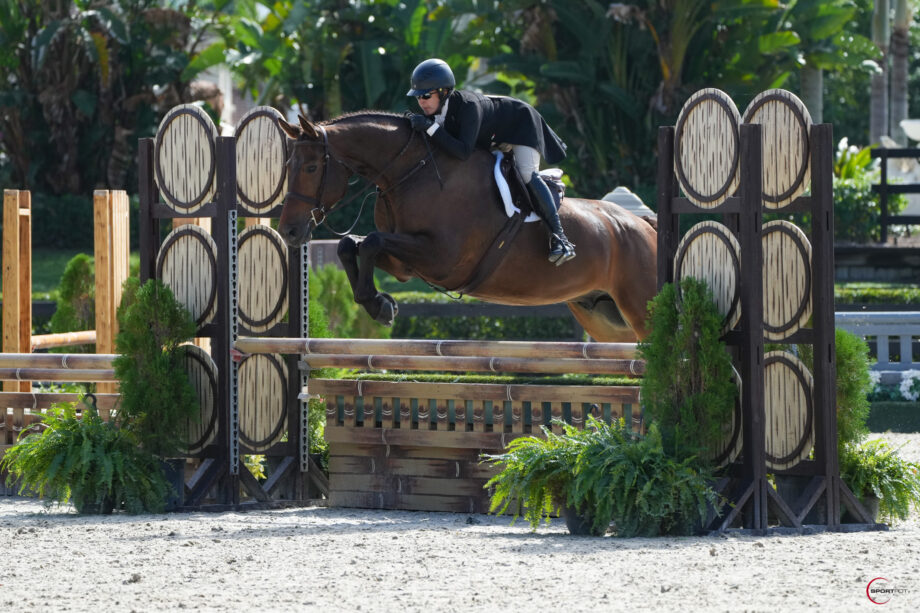 Simon McCarthy si aggiudica l'ArthramidVet CSI3* Grand Prix Qualifier all'Internazionale di Wellington. 3 wef 2