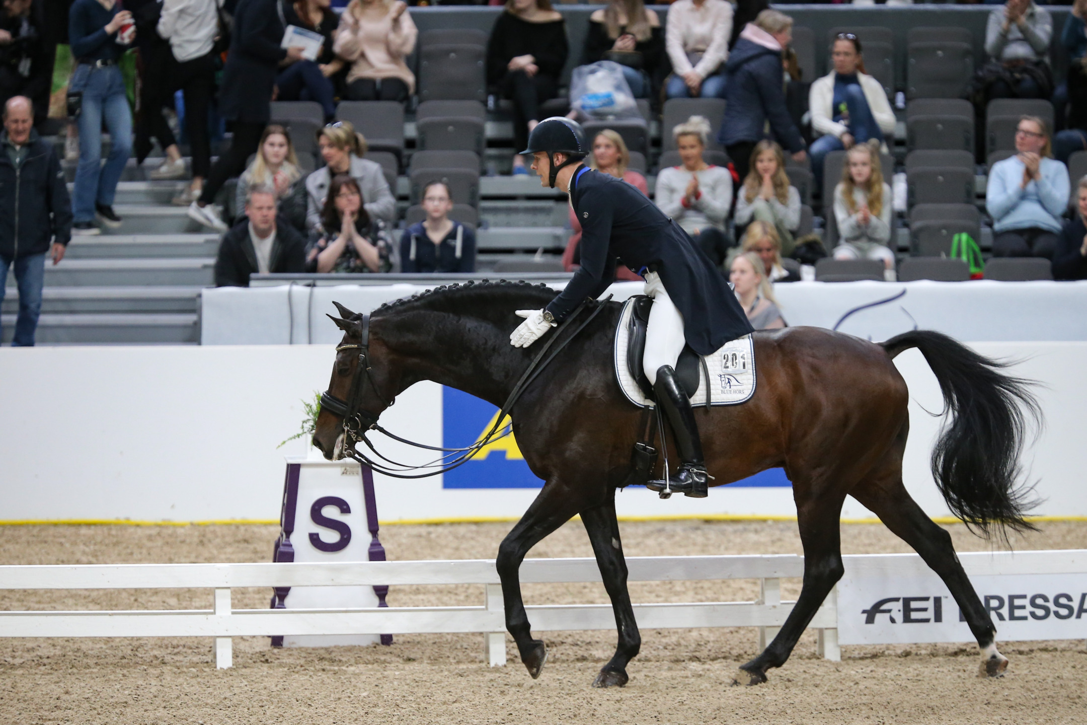 Dressage: one is born a dancer 3 Andersen Blue Goteborg2019 SS7 4319 1