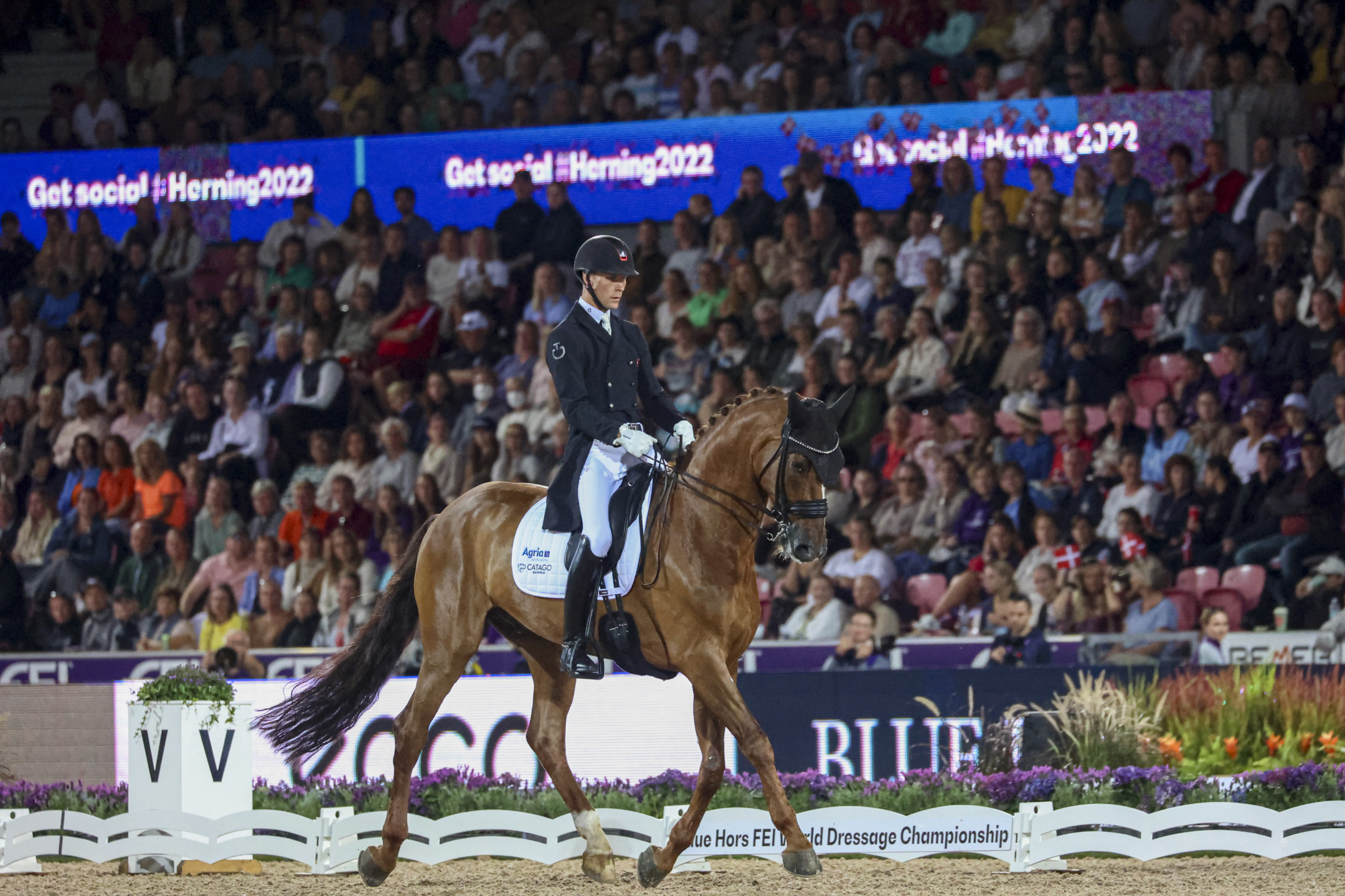Dressage: one is born a dancer 1 Daniel Bachmann Andersen su Marshall Bell Herning WC 2022
