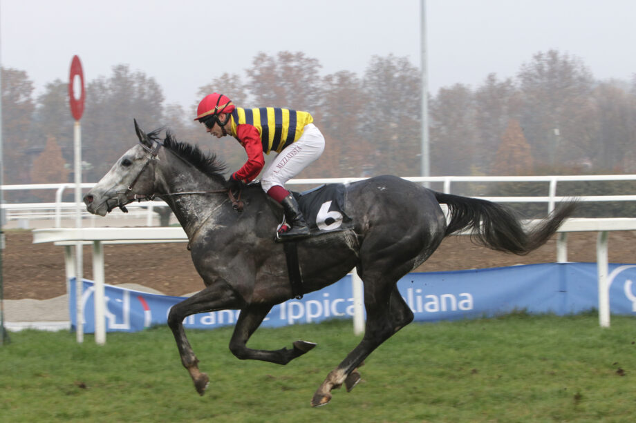 L’Ippodromo SNAI San Siro saluta la 136^ stagione di galoppo con il GP delle aste a WHATEVER YOU CAN al fotofinish e il Premio MIRKO MARCIALIS a Oberer. 2 Corsa1 PREMIO SAN SIRO