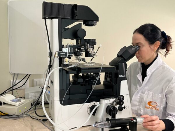 Intervista alla Dottoressa Silvia Colleoni di Avantea, innovazione e logistica per la riproduzione assistita equina 6 Dottoressa Silvia Colleoni
