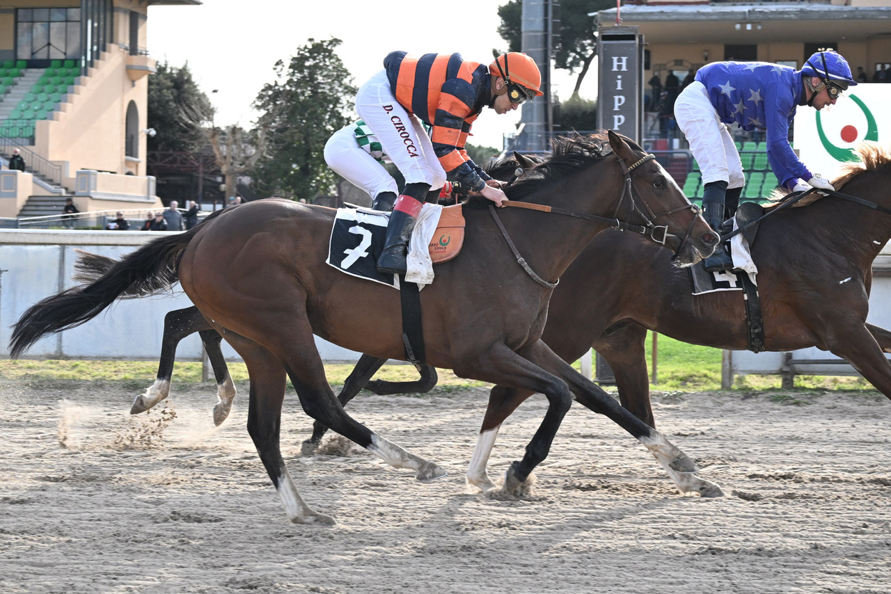 Natale al galoppo all'Ippodromo Capannelle. Martedì 24 dicembre “All Weather Christmas Day". 1 Natale al galoppo all'Ippodromo Capannelle. Martedì 24 dicembre “All Weather Christmas Day"