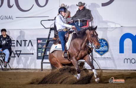 Reining: al via il Saggio delle Scuole. 1 Reining: al via il Saggio delle Scuole