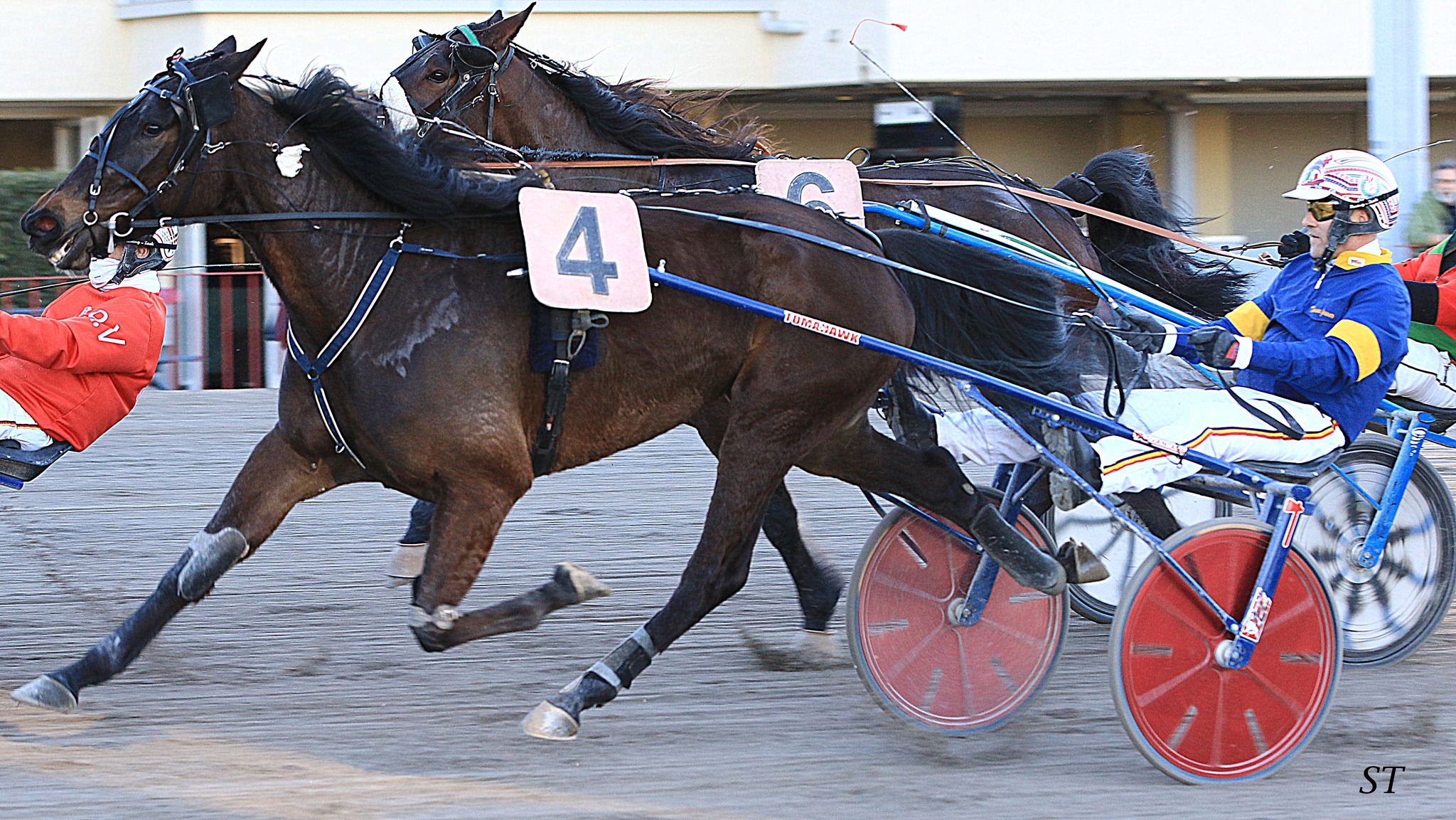 Ippodromo Arcoveggio di Bologna. 1 Ippodromo Arcoveggio di Bologna