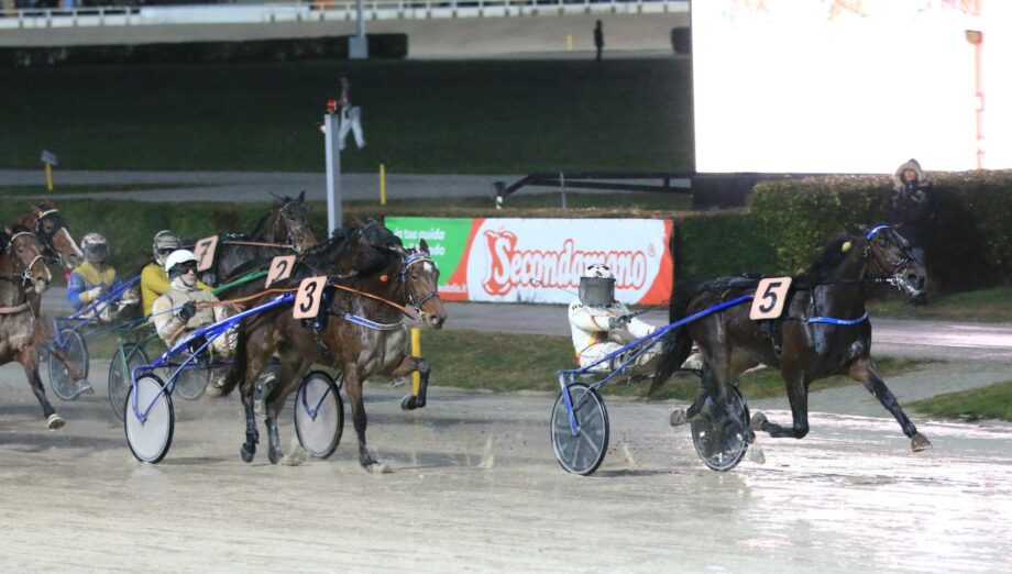 Lunedì 6 gennaio 2025 all’Ippodromo Arcoveggio di Bologna: Gran Premio della Vittoria Isibetpro - Trofeo Carlo Mantellini - 2 arrivo vittoria 2024 1