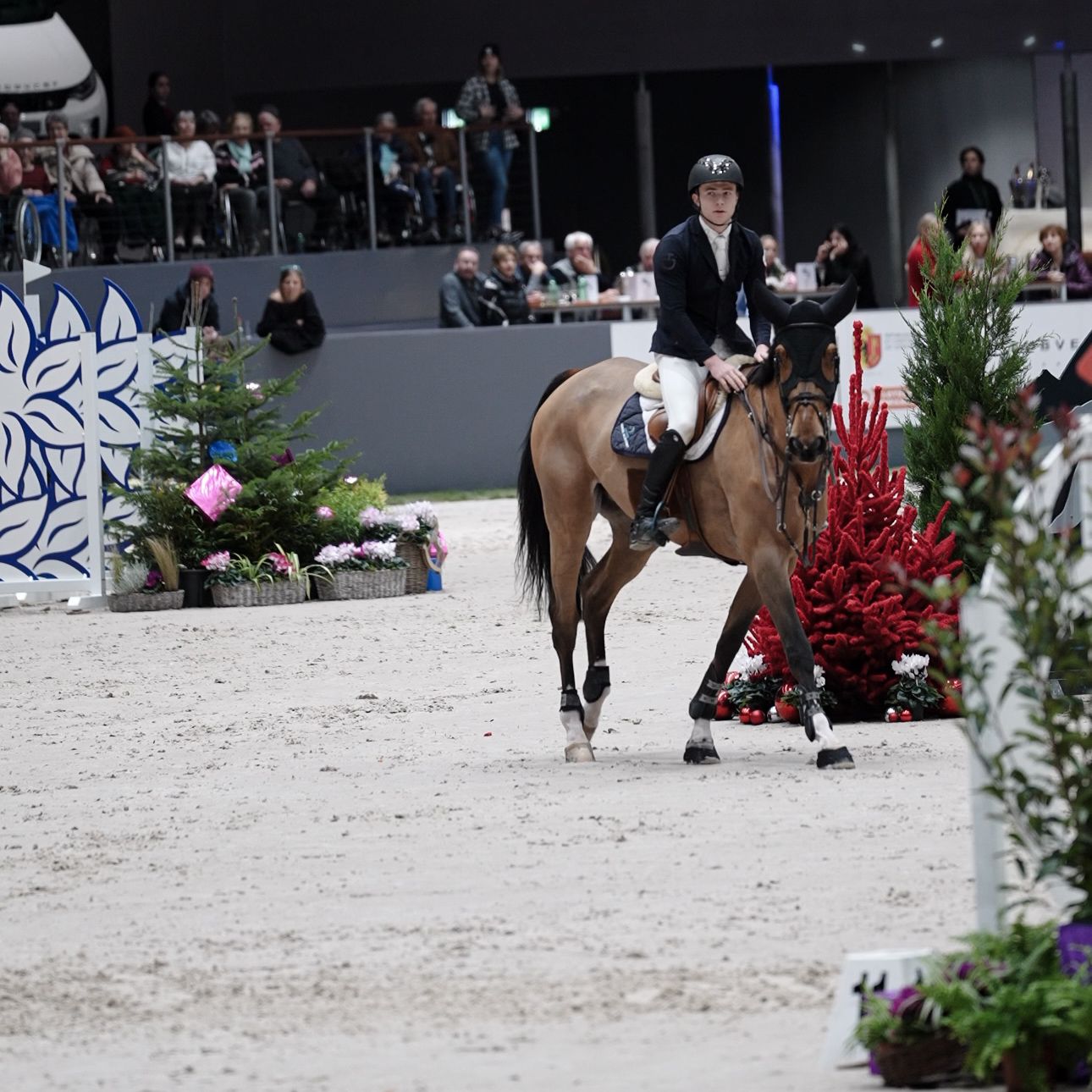 Seamus Hughes Kennedy: un giovane talento irlandese brilla al CHI di Ginevra 1 d9b8f441 df6b 471a 8bcb d6f6ca0c40fc