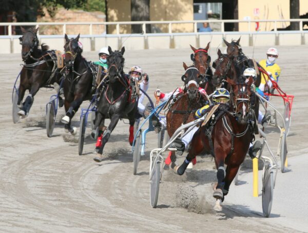 All’ippodromo di Bologna, giovedì 5 dicembre con Tris-Quartè-Quintè. Inizio ore 15. 5 Ippodromo di Bolonga corsa al trotto