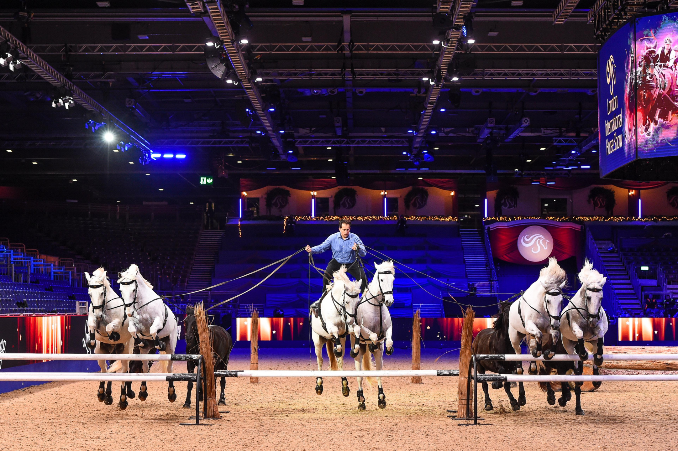 Lorenzo il “francese volante". 1 LORENZO IL “FRANCESE VOLANTE” SI PREPARA PER IL LONDON INTERNATIONAL HORSE SHOW 2024