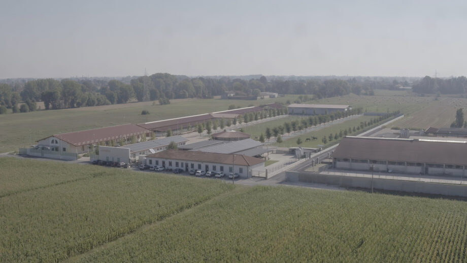 Avantea: eccellenza nella riproduzione assistita equina e oltre 3 01