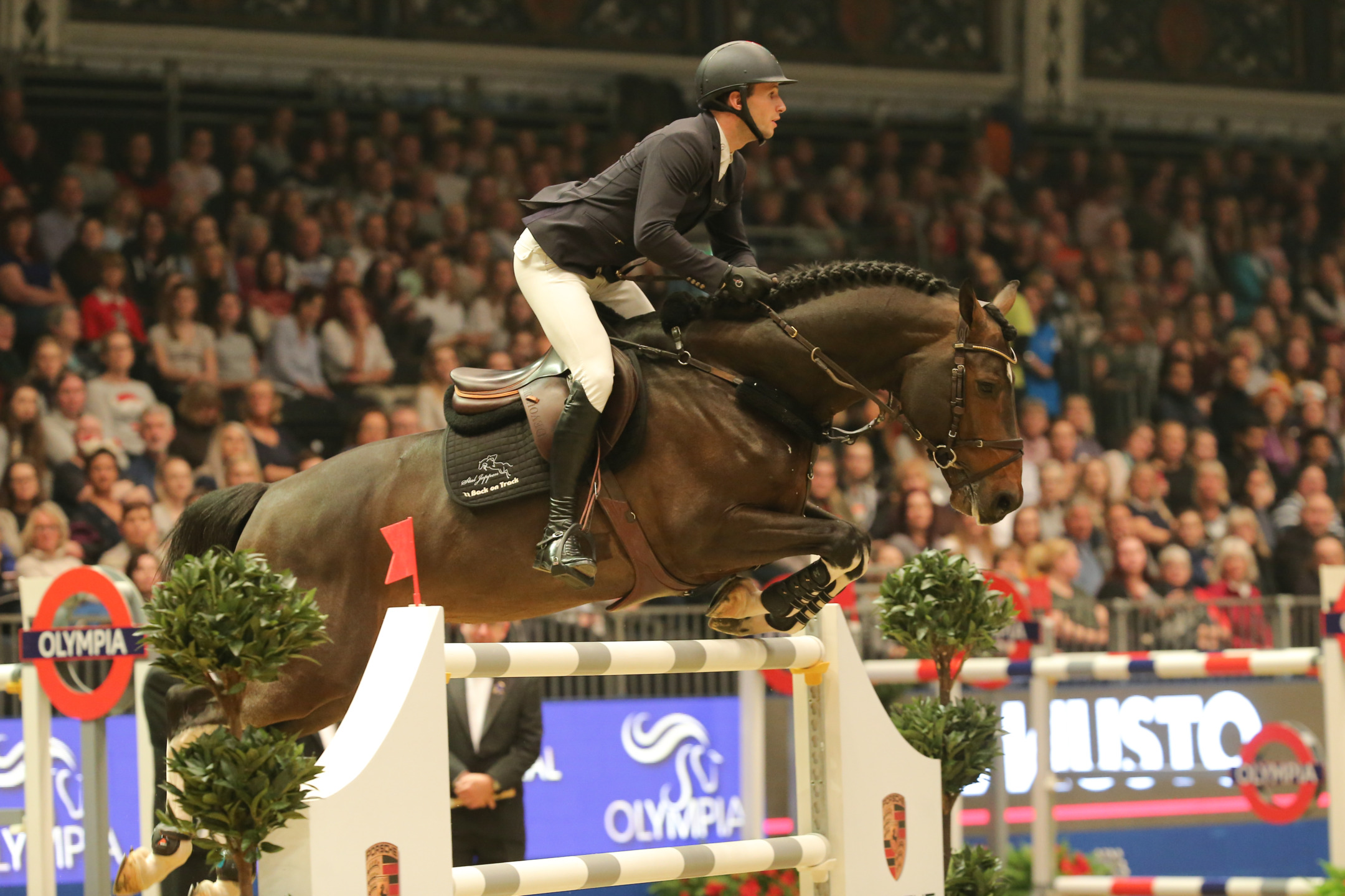 Rodrigo Giesteira Almeida: a journey through show jumping success 4 Almeida Kafka Olympia2018 SS7 4968 1