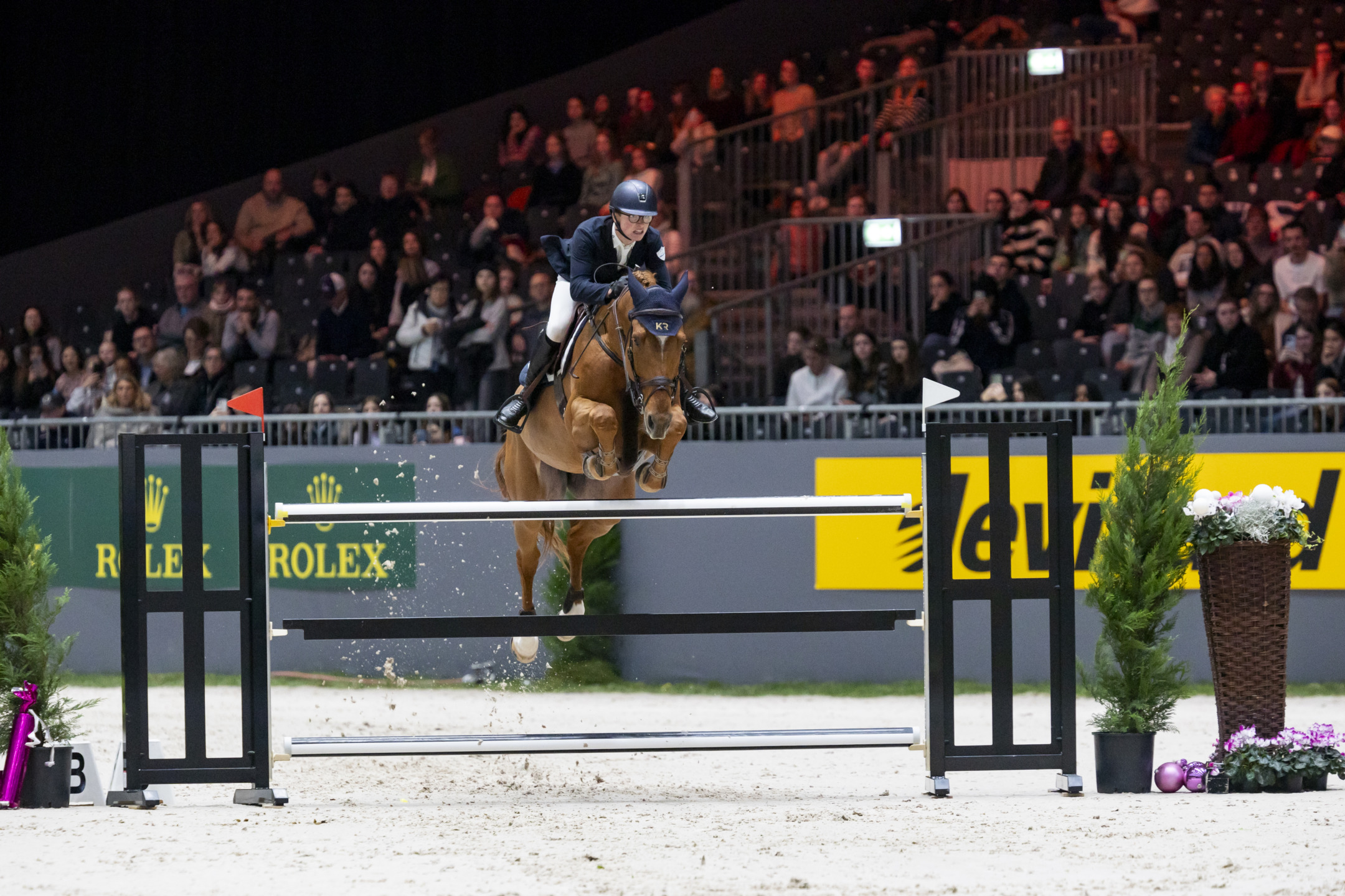Mathieu Bourdeaud’Hui: rising star in show jumping 1 BOURDEAUD HUI Mathieu BEL riding OSCAR THE HOMAGE Stallion GENEVE 2024 6Z1A2954