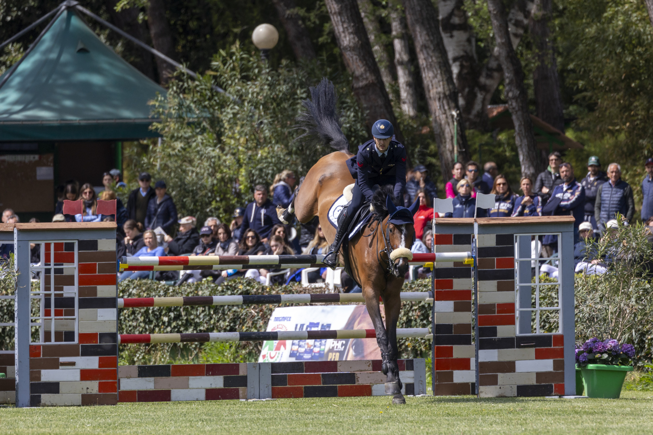 Andrea Calabro si racconta, “Ogni cavallo ha tempi e potenzialità diversi” 6 Calabro Andrea riding Galileo Della Caccia CampItaAss Cervia 20240419 SS350030 2