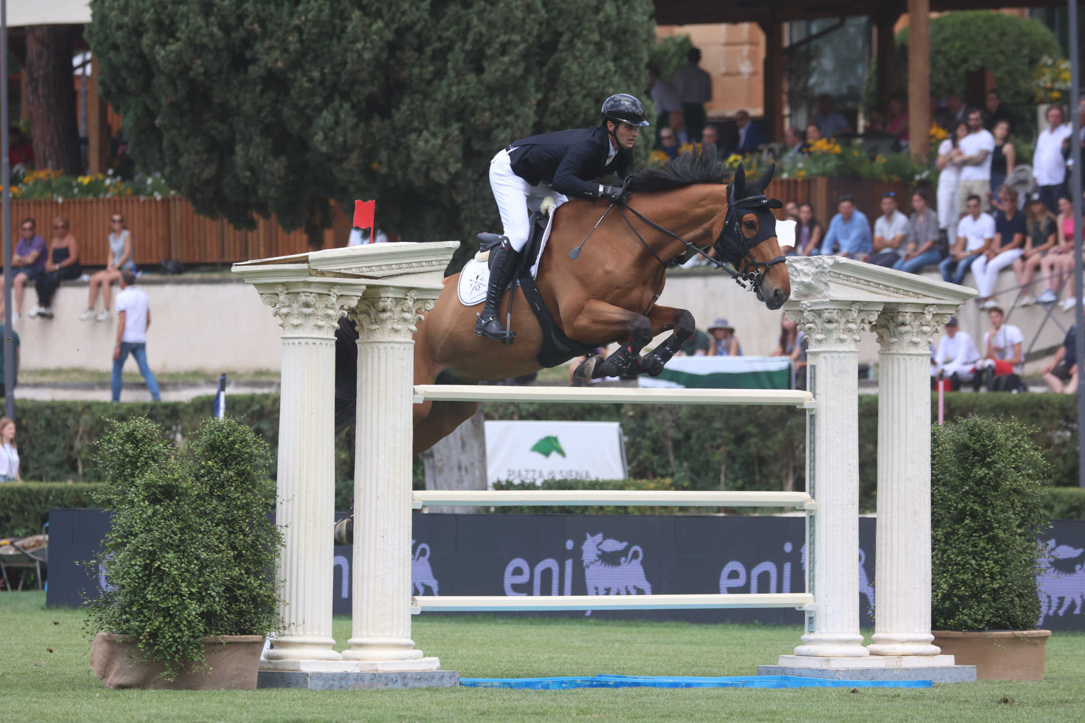Andrea Calabro: Passion, Hard Work, and the Dream of an Italian Rider 7 Calabro ThatsMe CSIORoma2022 SS3 1110 1