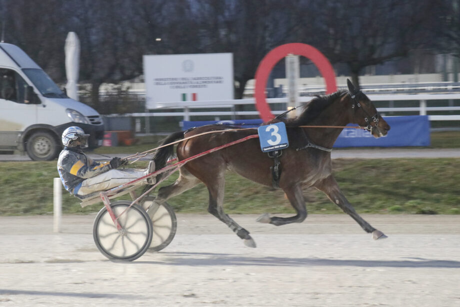 Nel mercoledì di trotto all'Ippodromo SNAI San Siro piove sul bagnato per Every Time Winner che si conferma di classe superiore nel Premio Zatlan. 2 Corsa5 PREMIO ZILATH