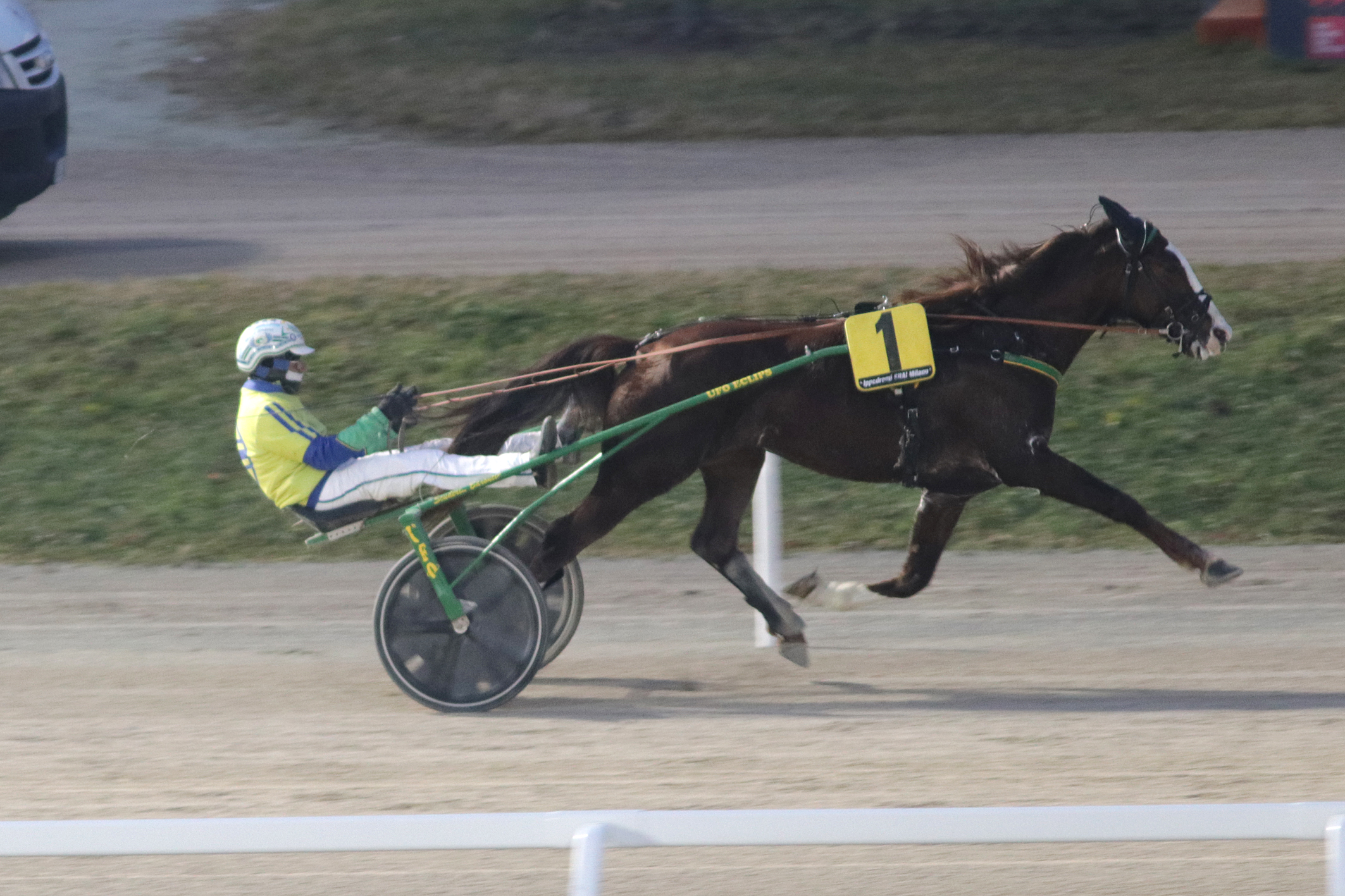 Trotto: brillano all'Ippodromo Snai San Siro Fuoco degli Dei e Cesare AMG 1 Corsa6_PREMIO PANTERA DEL PINO