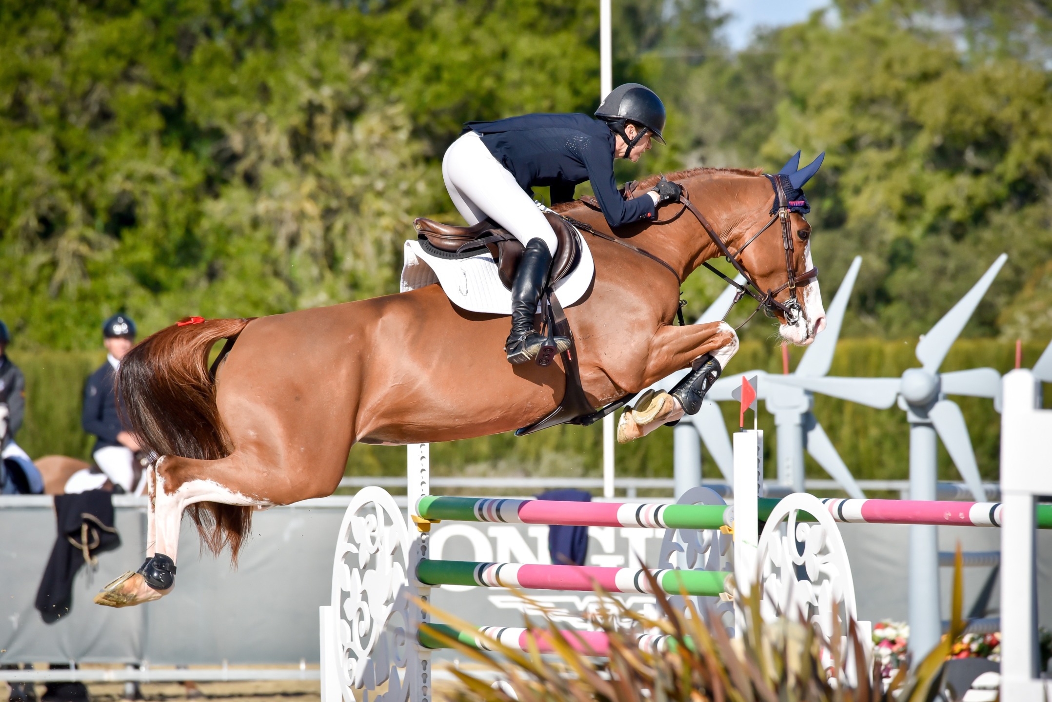 Teresa Blázquez e Nasa de Toxandría vincono la prima prova Longines Ranking del weekend al Sunshine 1 IMG 5346