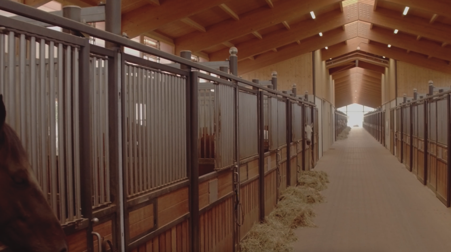 Avantea: Excellence in Assisted Equine Reproduction and Beyond 6 Screenshot 2025 01 15 alle 14.10.42 1