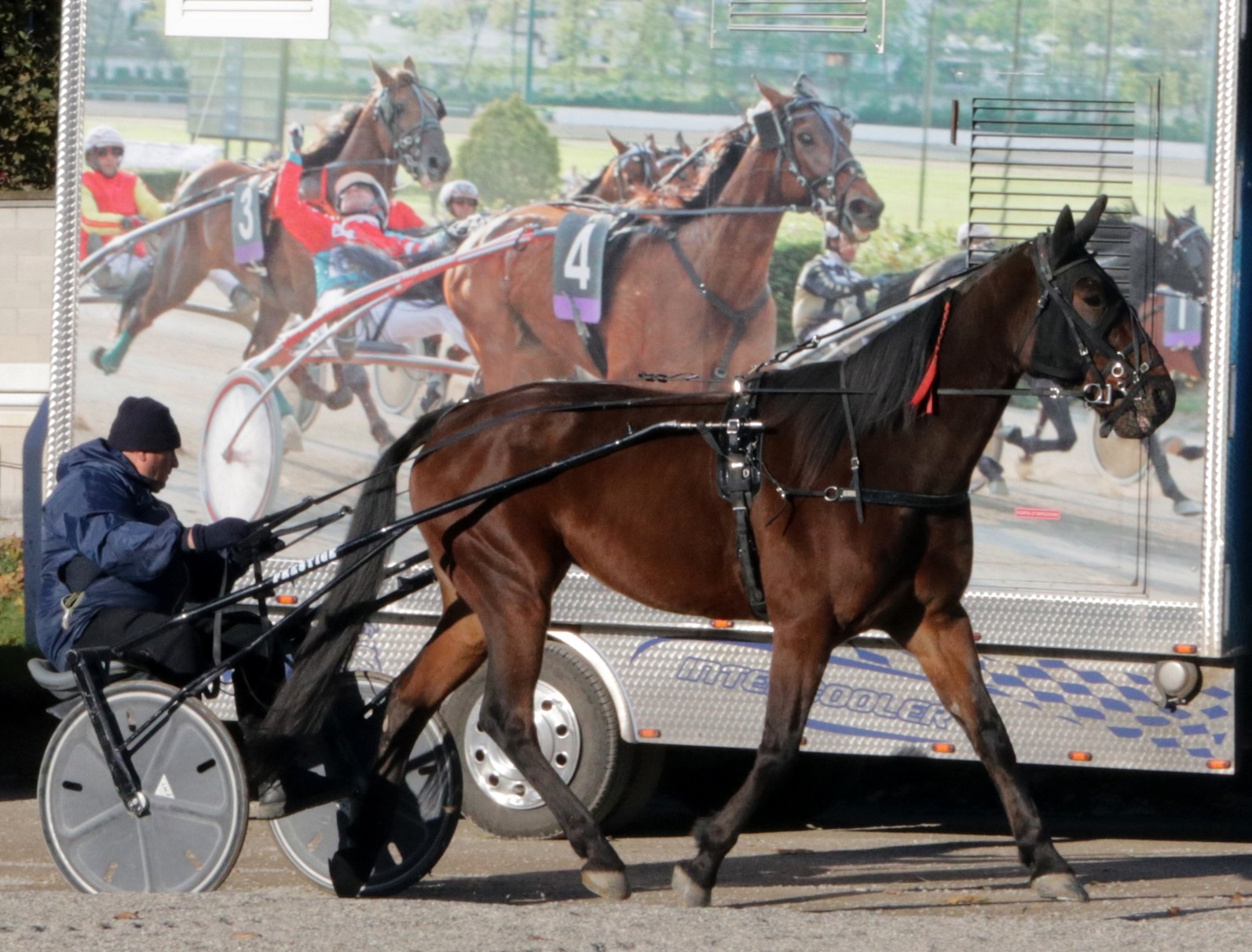 Sabato all’Ippodromo Snai San Siro con l’8° giornata di trotto 1 Trotto ippodromo snai san siro