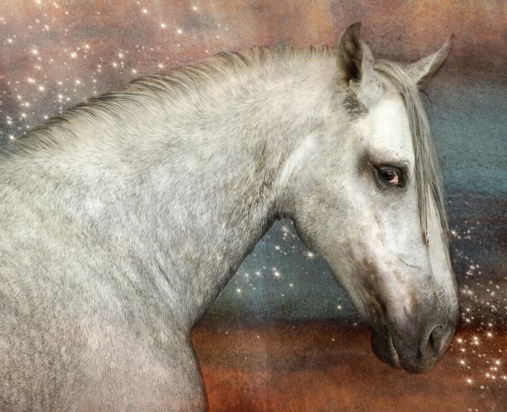 Il fascino intramontabile dei cavalli PRE: un simbolo di bellezza e gentilezza 1 cavallo PRE o andaluso grigio