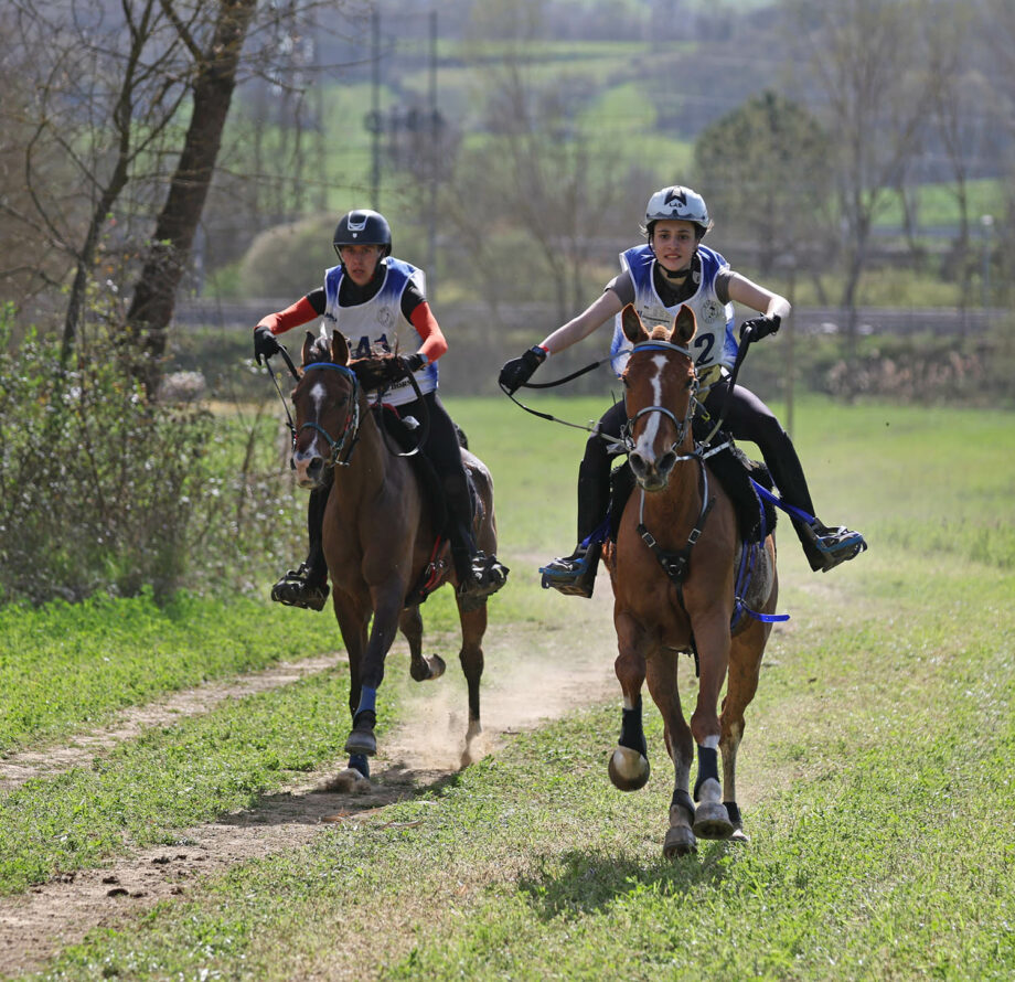 Conoscete le radici delll'Endurance Equestre? 2 0P5A8727