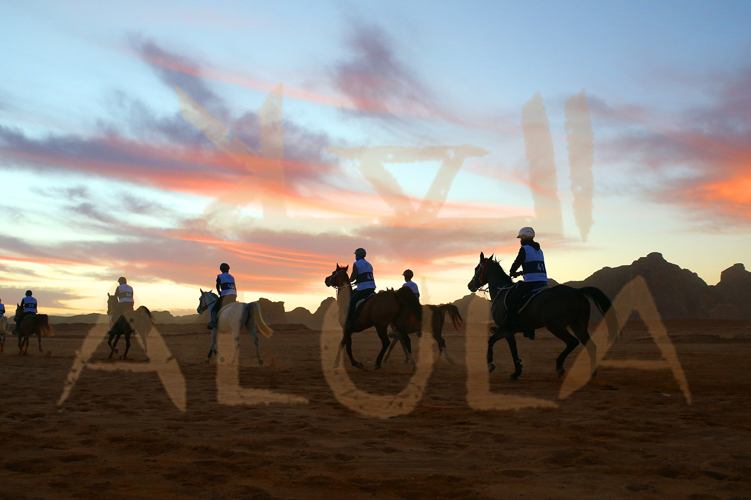 5 milioni di euro per l'Endurance ad Al-Ula: due binomi italiani pronti al via. 1 5 milioni di euro per l'Endurance ad Al-Ula: due binomi italiani pronti al via.
