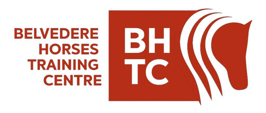 Formazione Equestre: l'Endurance al centro dell'attenzione al BHTC. 3 BHTC