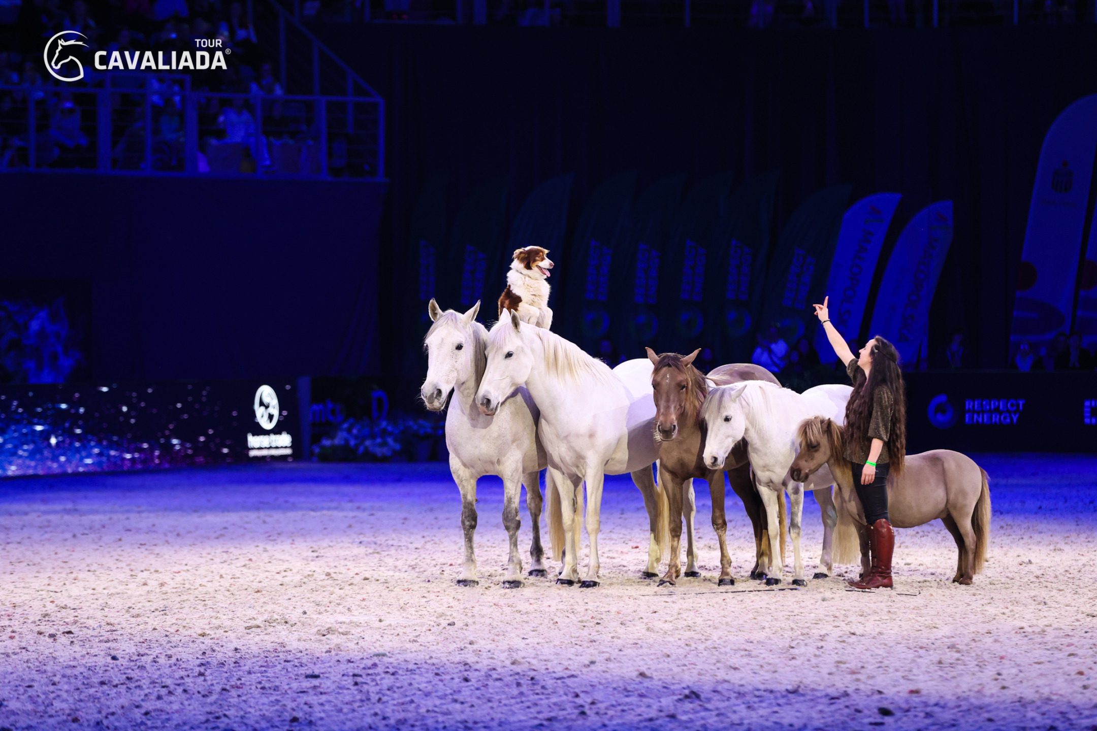 CAVALIADA Tour 2024/2025: un'edizione da record 4 CAVALIADA Show fot Dava Palej