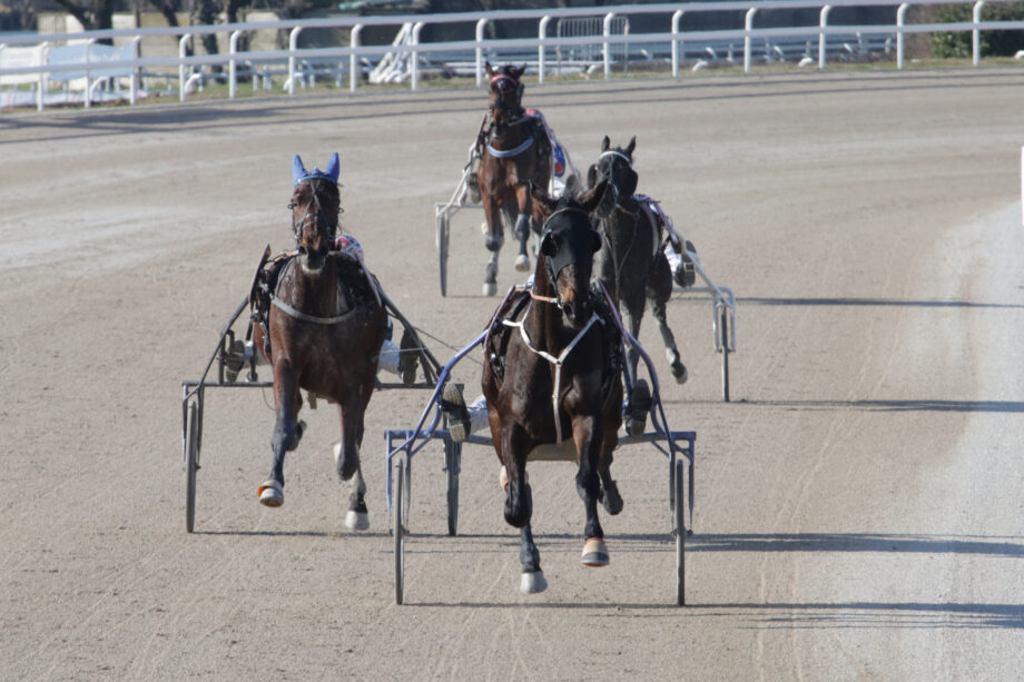 Alla "Prima" di febbraio all'Ippodromo SNAI San Siro Fosciandora DR Protagonista nel premio Chris Evert Treb raccogliendo la nona vittoria in 14 uscite. 2 Corsa1 PREMIO NICHOLSON TREB1