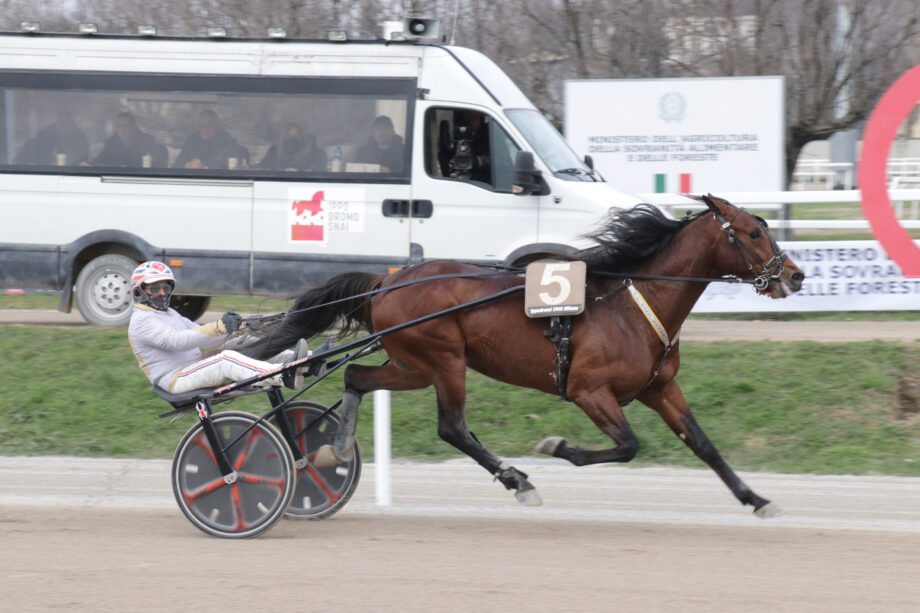 Corsa2 PREMIO NORAM LB