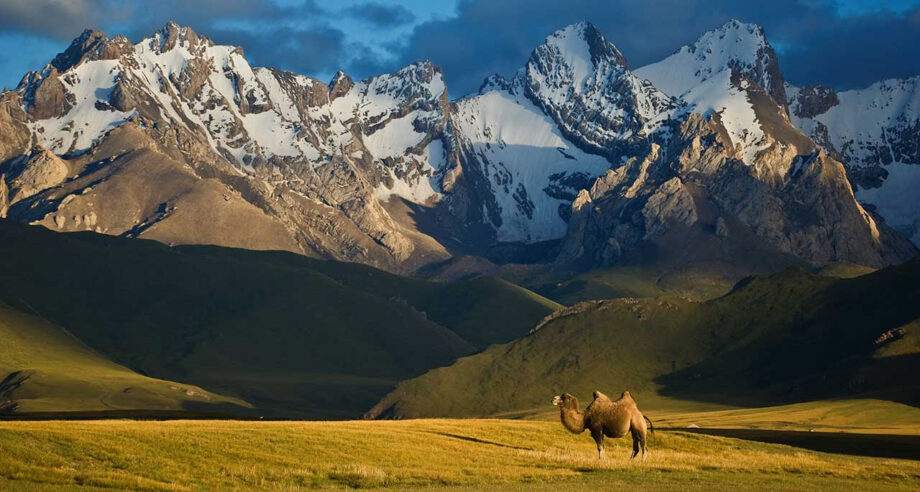 Following the Tracks of Nomadic Riders: The 2025 Gallops in Kyrgyzstan 2 IMG 5747
