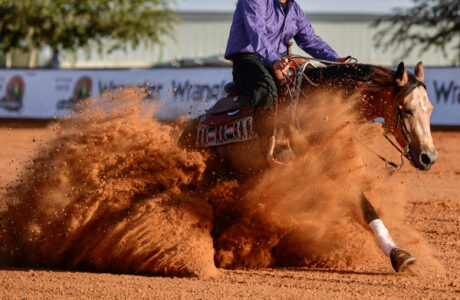 Reining, molto più che uno sport 1 Gara di reining