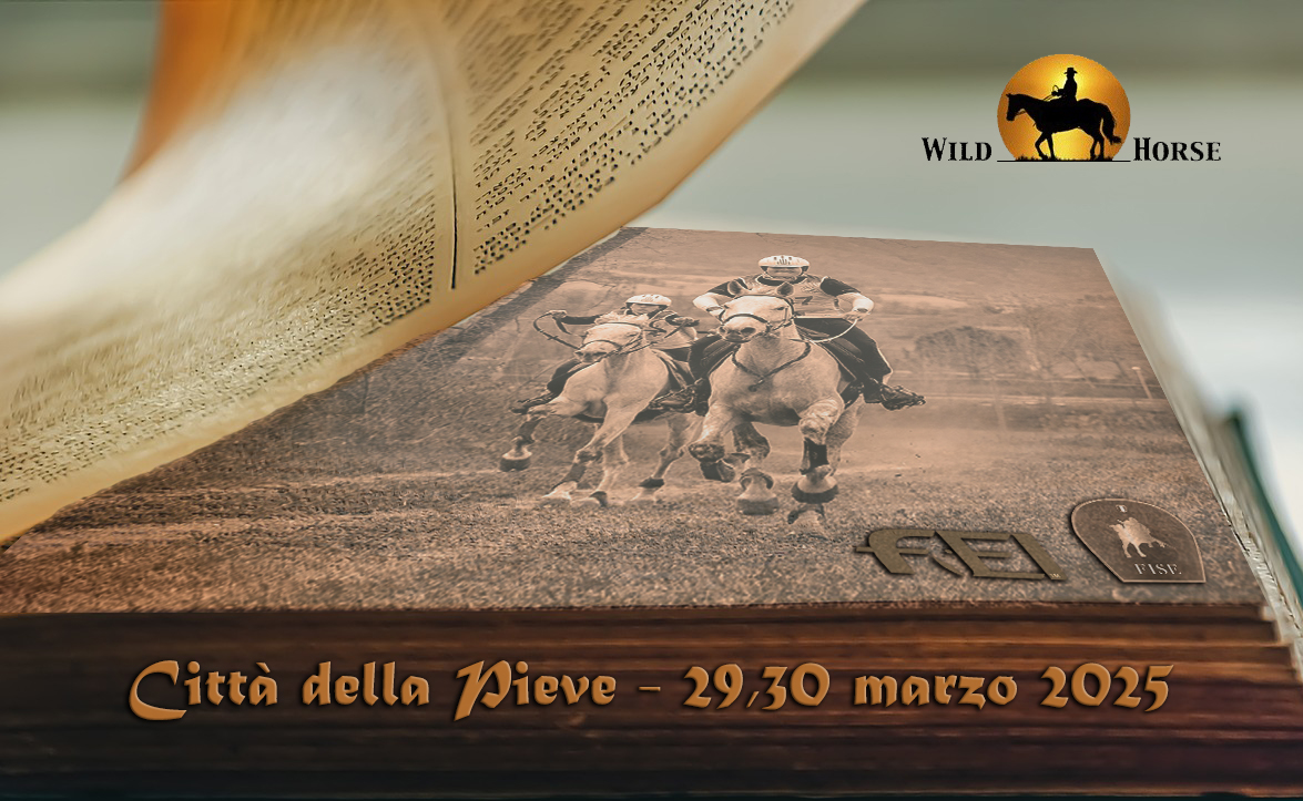 Lo sapevi che a Citta della Pieve (Pg) puoi sfogliare più di mille libri sui cavalli? 1 Lo sapevi che a Cittadella Pieve (Pg) puyoi sfogliare più di mille libri sui cavalli?