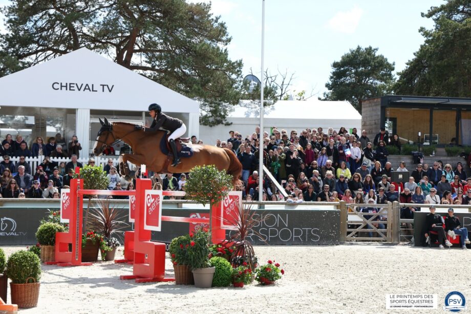 Le Printemps des Sports Equestre 2025: la quarta edizione ospiterà tutti i campioni, anche i pony! 3 printemp 3