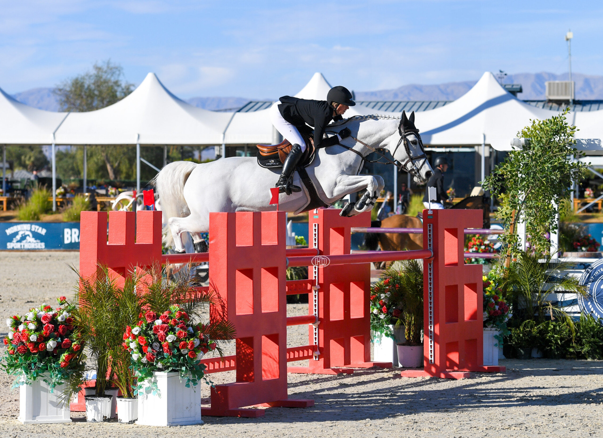 Savannah Jenkins conquista la vittoria nei 10.000 dollari di Barnwalkers Welcome Speed al Desert Circuit 7. 1 Savannah Jenkins conquista la vittoria nei 10.000 dollari di Barnwalkers Welcome Speed al Desert Circuit 7