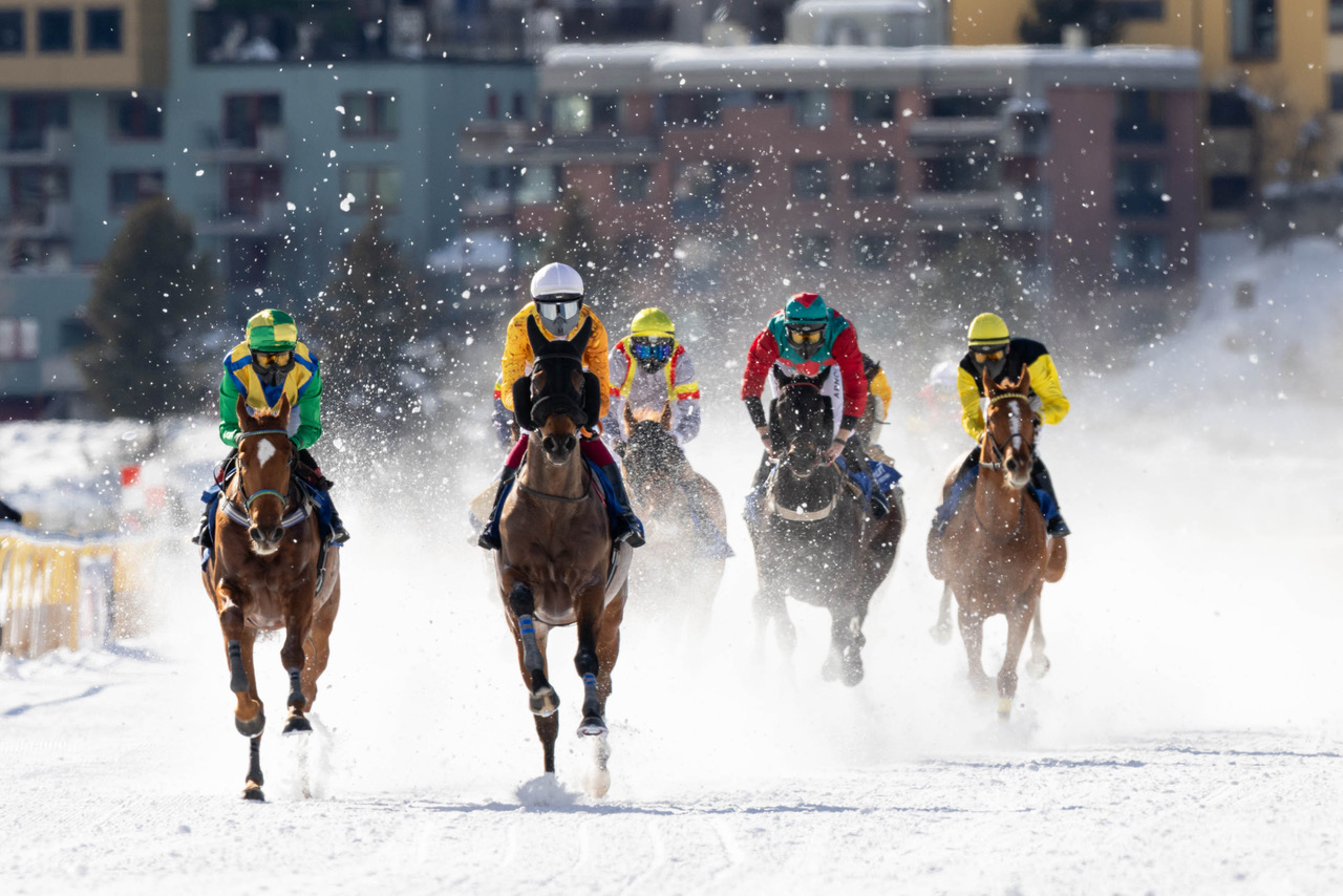 Clément Lheureux vince l'84° Gran Premio di St. Moritz con Saadi. 1 Clément Lheureux vince l'84° Gran Premio di St. Moritz con Saadi