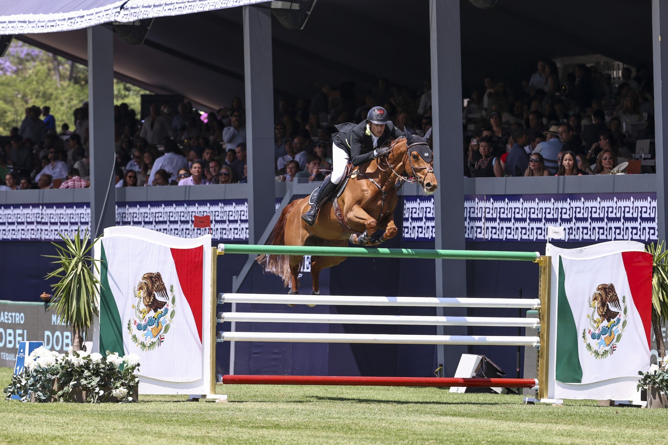 Mexico City si prepara ad accogliere il Longines Global Champions Tour 2025 1 LGCT_12_160_Philippaerts Nicola BEL riding H&M Luna van't Ruytershof Z